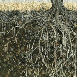 May include: Detailed watercolor painting of a tree's root system. The roots, in shades of gray and brown, spread out beneath the soil, with visible pebbles and earth tones. Above, dry, golden grass is visible.