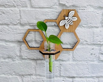 Honeycomb and Bee Propagation, Gift for Plant Lover, Hanging Plant Propagation Station, Wall Vase, Beekeeper Gift