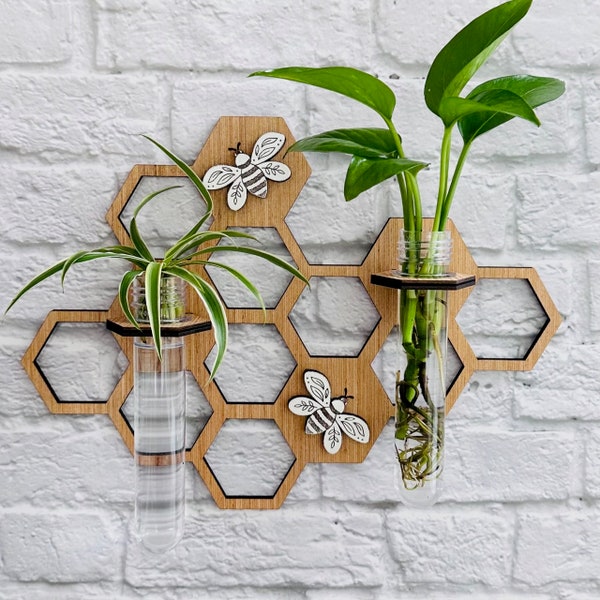 Honeycomb and Bee Propagation, Gift for Plant Lover, Hanging Plant Propagation Station, Wall Vase, Beekeeper Gift