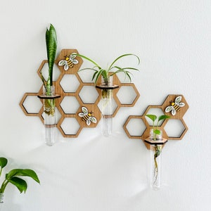 Honeycomb and Bee Propagation, Gift for Plant Lover, Hanging Plant Propagation Station, Wall Vase, Beekeeper Gift, Set of 2, Plant Sarters