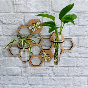 Honeycomb and Bee Propagation, Gift for Plant Lover, Hanging Plant Propagation Station, Wall Vase, Beekeeper Gift