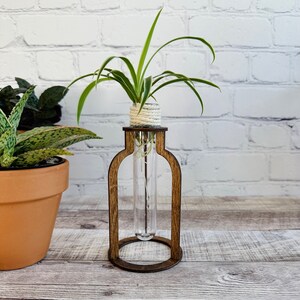May include: A wooden plant stand with a clear glass test tube holding a small plant with white roots. The plant is tied with twine at the top of the test tube.