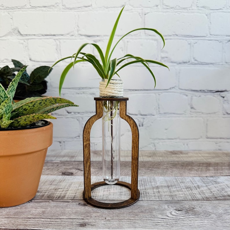 May include: A wooden plant stand with a clear glass test tube holding a small plant with white roots. The plant is tied with twine at the top of the test tube.