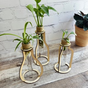 May include: Three wooden plant stands with glass test tubes, each holding a different type of plant. The stands are made of natural wood and have a simple, modern design. The plants are all green and healthy.