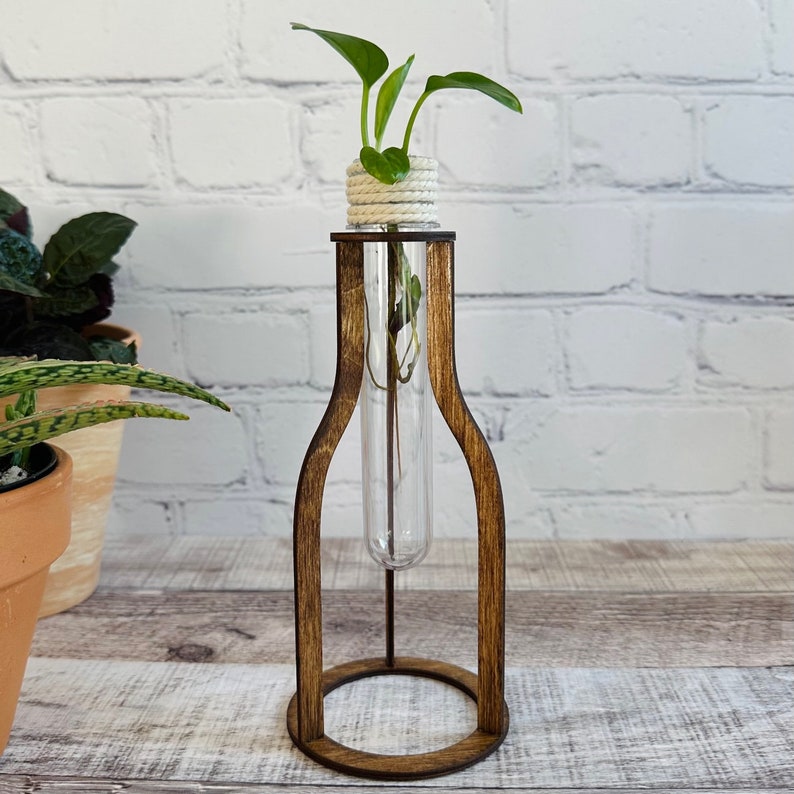May include: A wooden plant stand with a glass test tube vase. The vase is filled with water and a small green plant. The stand is brown and has a simple design.