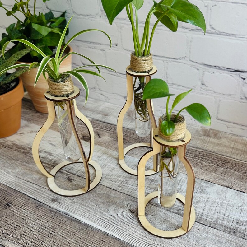 May include: Three wooden plant stands with glass test tubes, each holding a different type of houseplant. The stands are made of natural wood and have a simple, modern design.