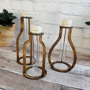 May include: Three wooden test tube holders with clear glass test tubes. The holders are in the shape of a bottle, a teardrop, and a circle. The holders are stained a dark brown color.