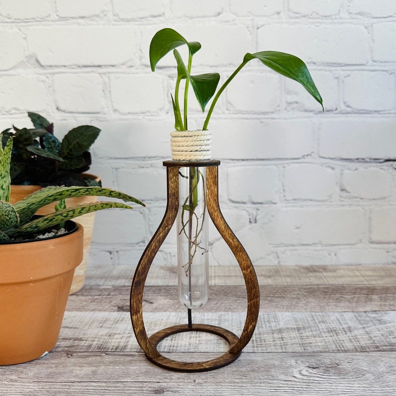 May include: A wooden plant stand with a glass test tube for propagating plants. The stand is brown and has a rounded base. A green plant with white rope wrapped around the base is growing in the test tube.