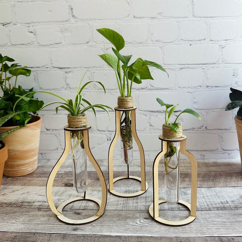 May include: Three wooden plant stands with glass test tubes holding small plants. The stands are in a light wood tone and the plants are green.