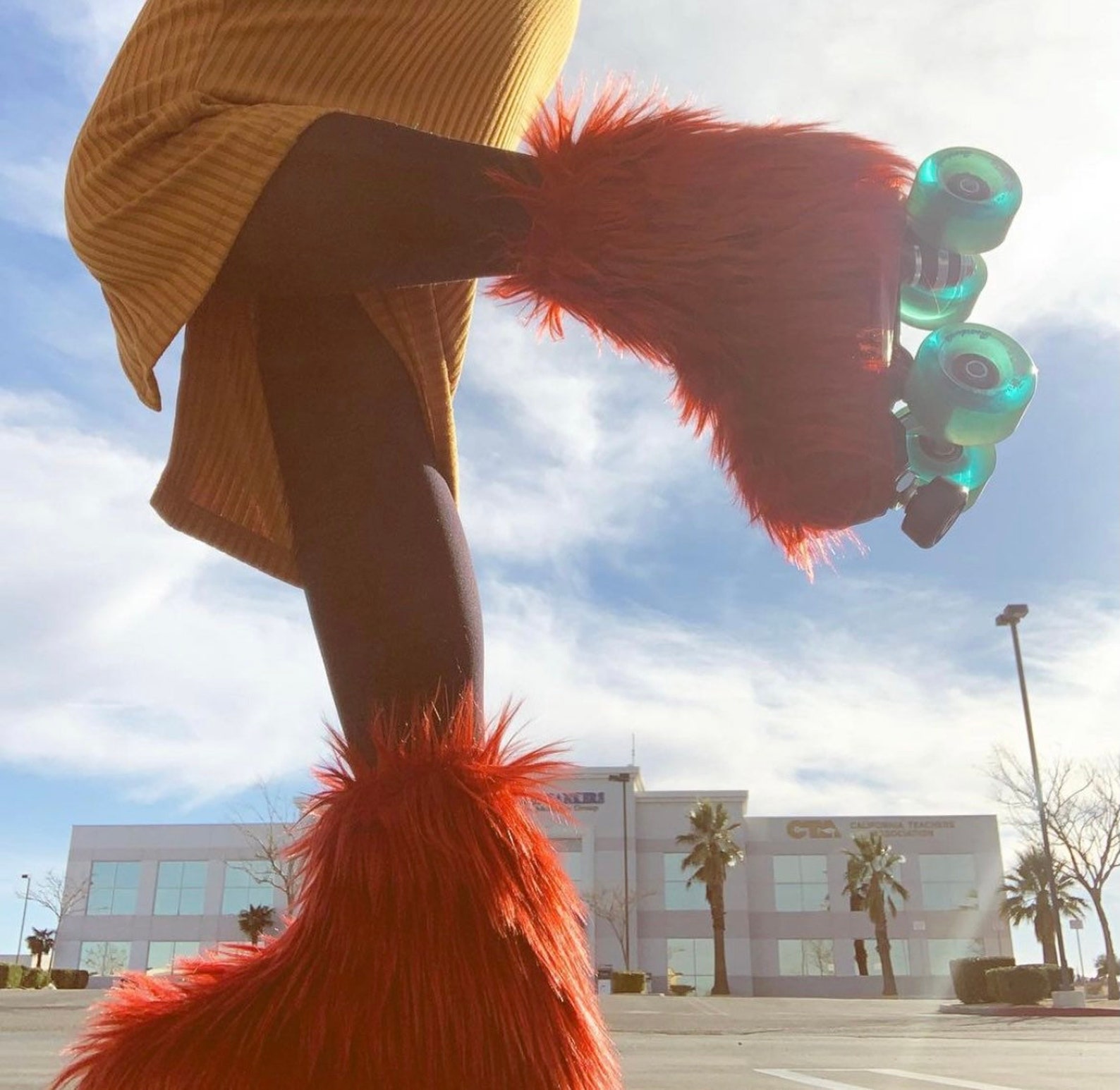 Cinnamon Roller Skate Cover Roller Blade Cover Fur Skate Etsy