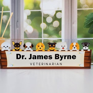 Acrylic Name Plaque, Personalized Name Plate for Desk, Desk Name Plaque, Gift for Veterinarian, Gift for Dog Lover, CAB046DG