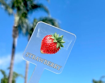 Acrylic Herb Vegetable Garden Markers, Plant Stakes
