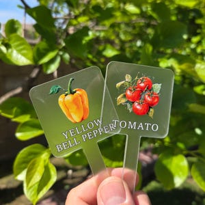 Puede incluir: Dos marcadores de jardín transparentes con ilustraciones de un pimiento amarillo y tomates. El marcador de pimiento dice "YELLOW BELL PEPPER". El marcador de tomate dice "TOMATO". Los marcadores se sostienen frente a un fondo de hojas verdes.