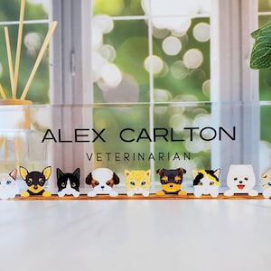 Peut inclure: Une plaque de nom de bureau en acrylique transparente avec le texte "ALEX CARLTON VETERINARIAN" et une rang&eacute;e d'animaux de dessin anim&eacute;, y compris des chats et des chiens, qui regardent par-dessus le haut.