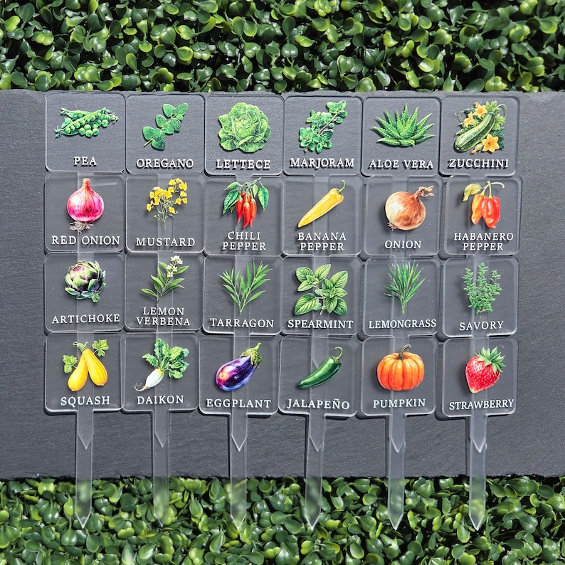 Herb Garden Plant Markers, Acrylic Fruit Vegetable Label Stakes - Etsy UK