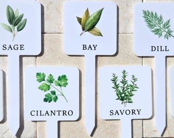 Acrylic Herb Image Color Printed Plant Marker, Potted Herb Stakes Labeled Sign, Garden Accessories