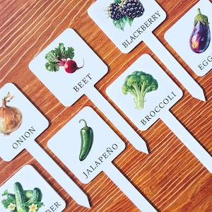 Puede incluir: Una taza de cerámica blanca con un asa negra y el texto "But First, Coffee" en negro y negrita. La taza está sobre una superficie blanca.