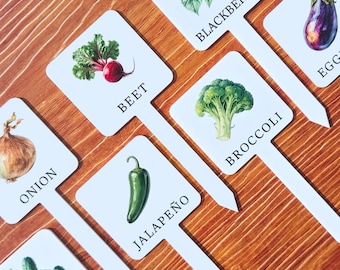 Marqueurs de fines herbes, piquets de plantes en acrylique, panneaux d'étiquettes de fruits