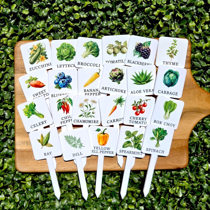 Herb Garden Plant Markers, Acrylic Fruit Vegetable Label Stakes - Etsy UK