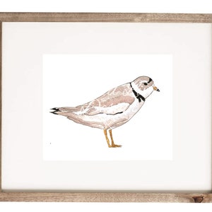 Plover Wall Art