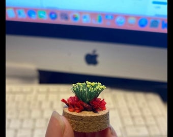 CUSTOM memorials for your jumping spider