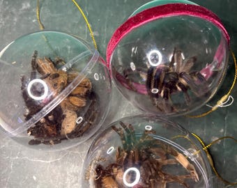 3 Tarantula ornaments