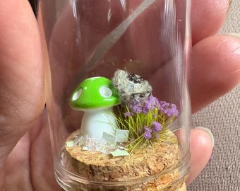 Jumping spider afterlife