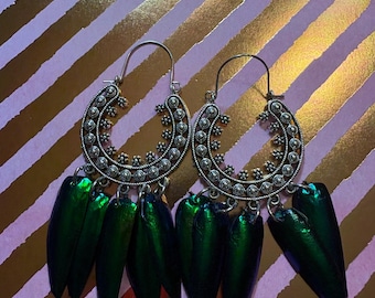 Beetle Wing Dangle Earrings, Silver Boho Style