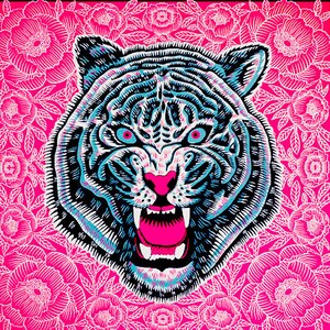 Indian Tiger image 2