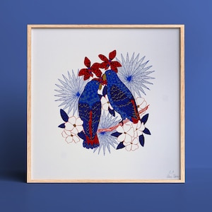 Parrots
