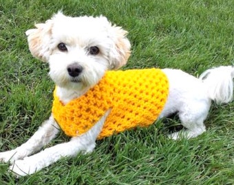 yellow dog jumper