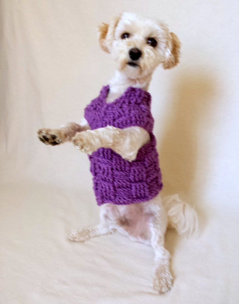 custom dog sweater dachshund clothes whippet sweater yorkie clothes pug sweater small dog clothes teacup dog clothes dog sweater