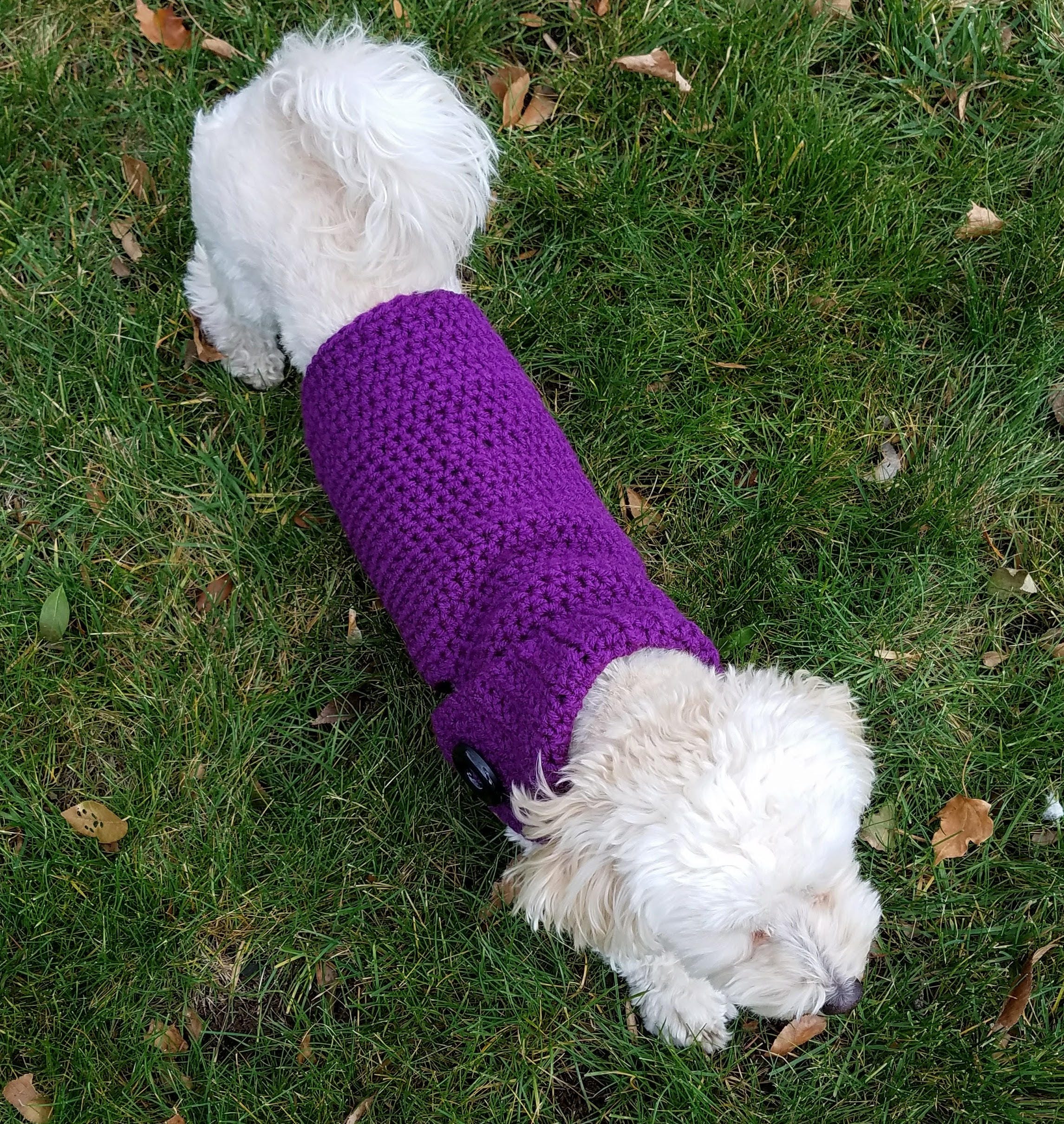 Purple Dog Sweater Handmade Dachshund Sweaters for Dogs Etsy
