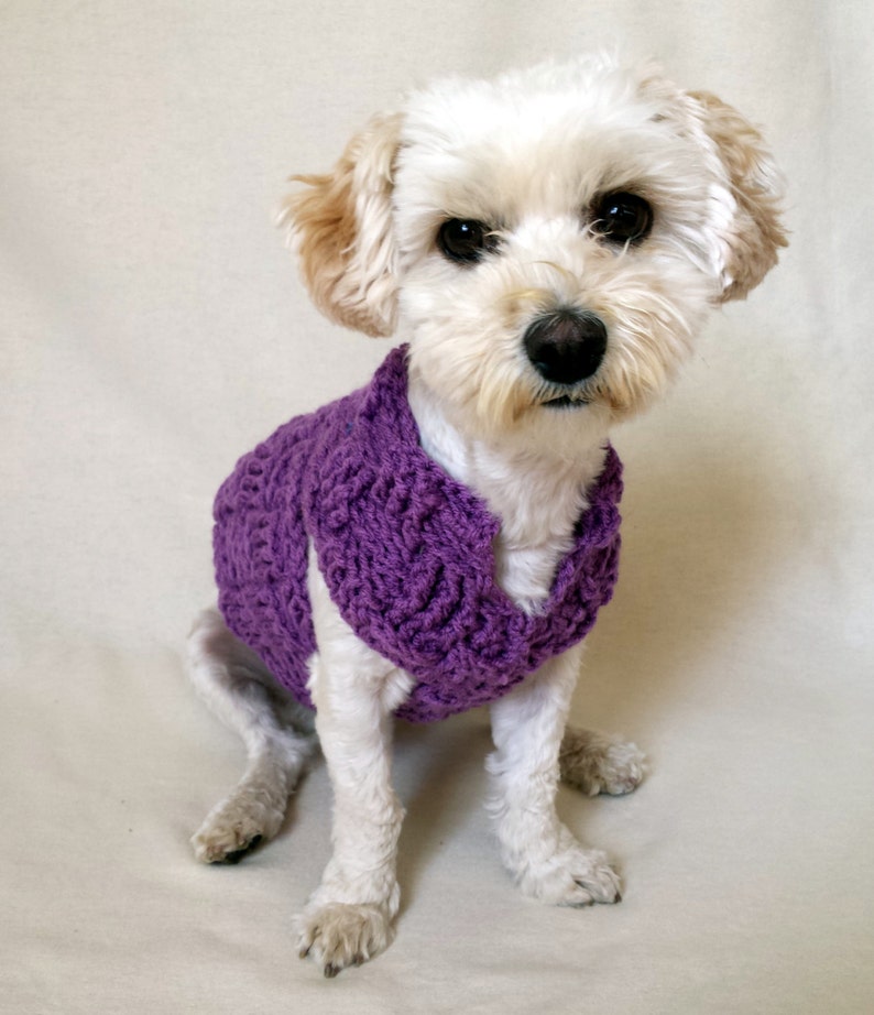 custom dog sweater dachshund clothes whippet sweater yorkie clothes pug sweater small dog clothes teacup dog clothes dog sweater