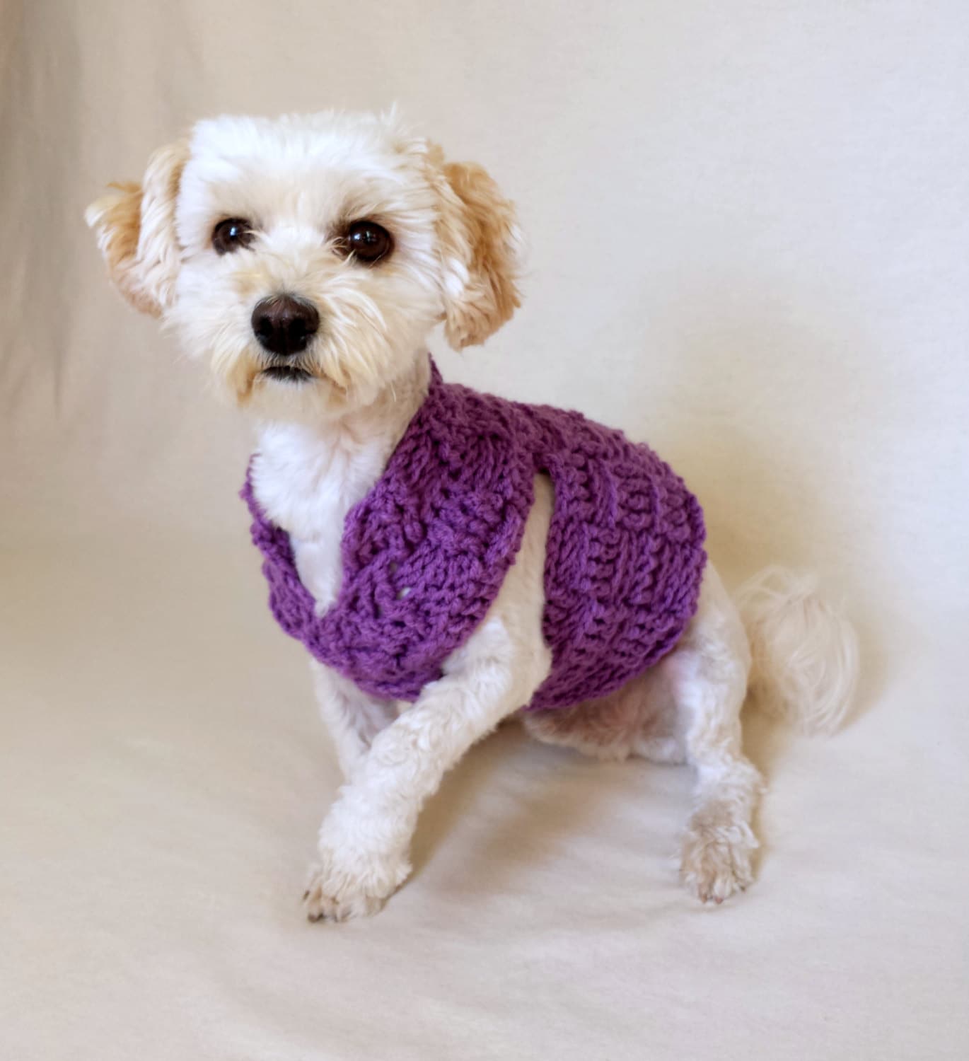 small dog clothes dog sweater custom dog sweater yorkie Etsy