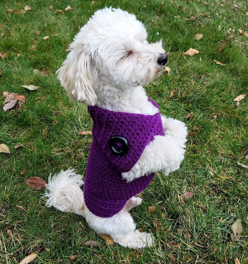 Purple Dog Sweater Handmade Dachshund Sweaters for Dogs Etsy