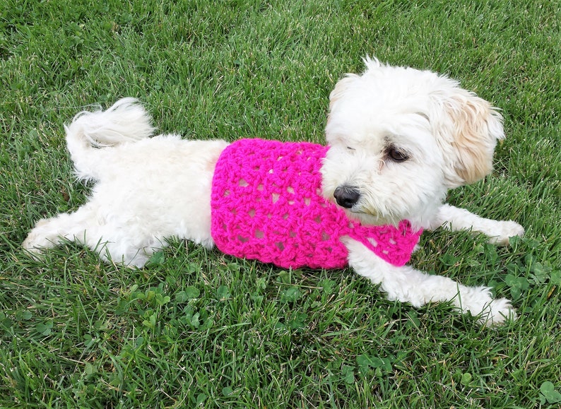 Pink Dog Sweater Teacup Dog Clothes Pink Dog Coat Etsy