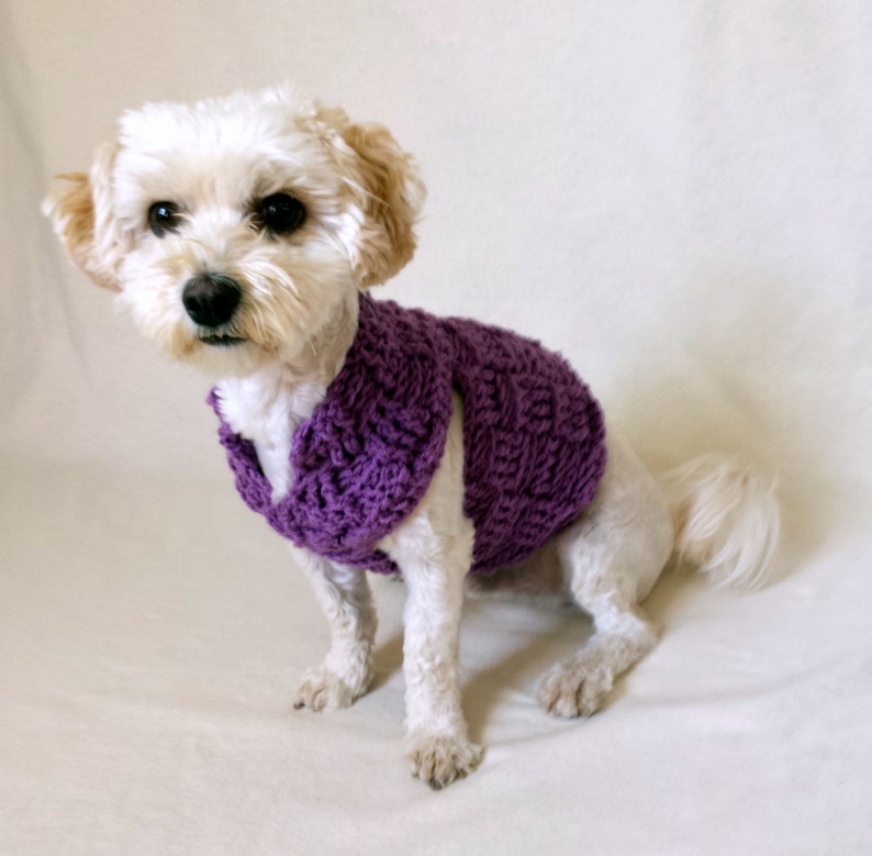 custom dog sweater dachshund clothes whippet sweater yorkie clothes pug sweater small dog clothes teacup dog clothes dog sweater