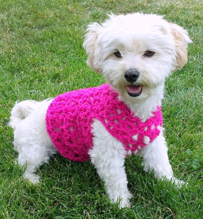 custom dog sweater small dog clothes pink dog coat pink dog vest teacup dog clothes yorkie clothes whippet sweater dachshund clothes