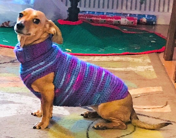 doxie sweater