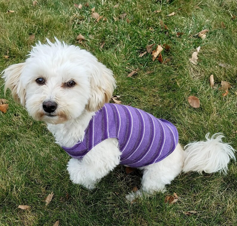 Striped dog shirt small dog clothes small dog shirts yorkie Etsy