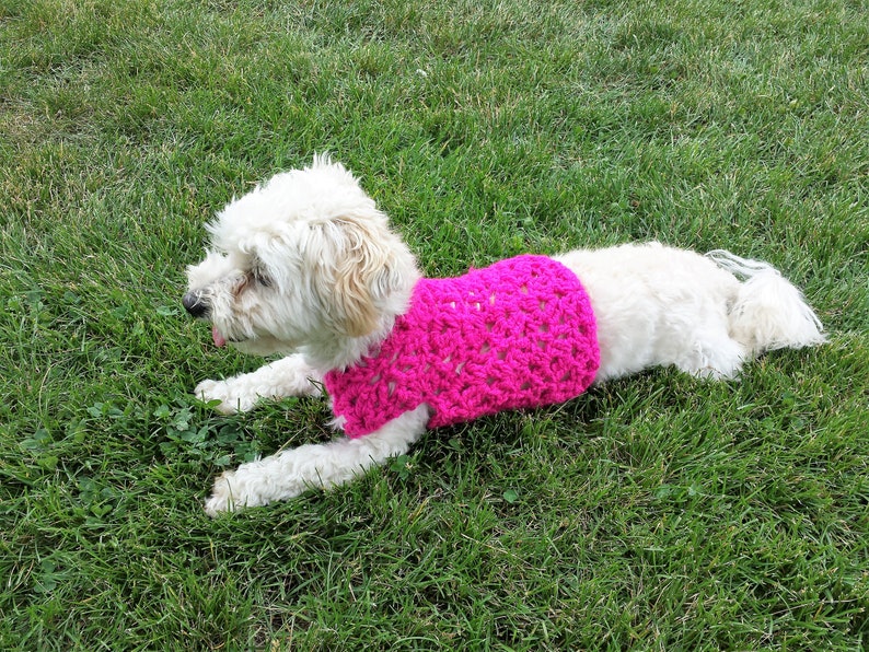 Pink Dog Sweater Teacup Dog Clothes Pink Dog Coat Etsy