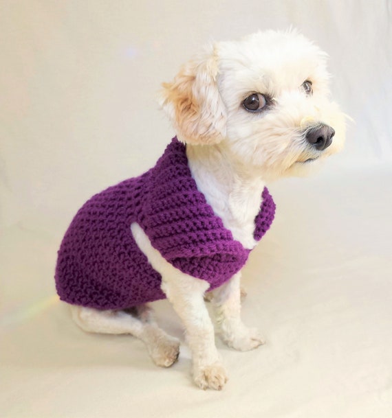 purple dog sweater