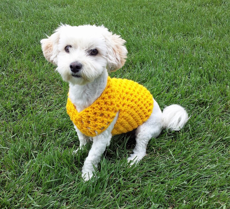 Yellow dog vest small dog sweater girl dog sweater Etsy