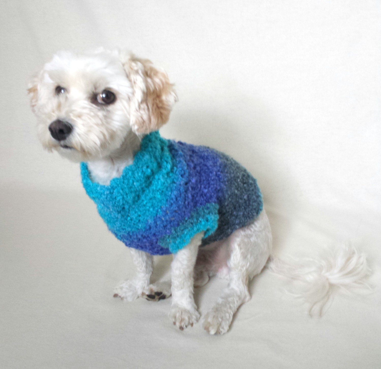 small dog sweater teacup dog clothes XXS dog clothes Etsy