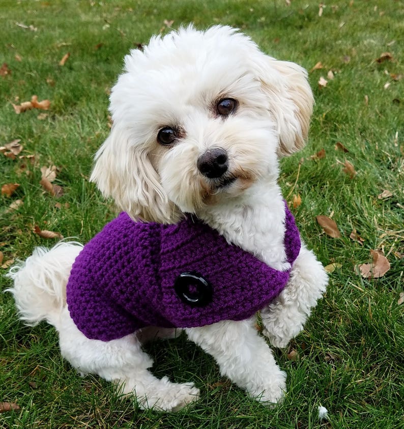 Purple Dog Sweater Handmade Dachshund Sweaters for Dogs Etsy