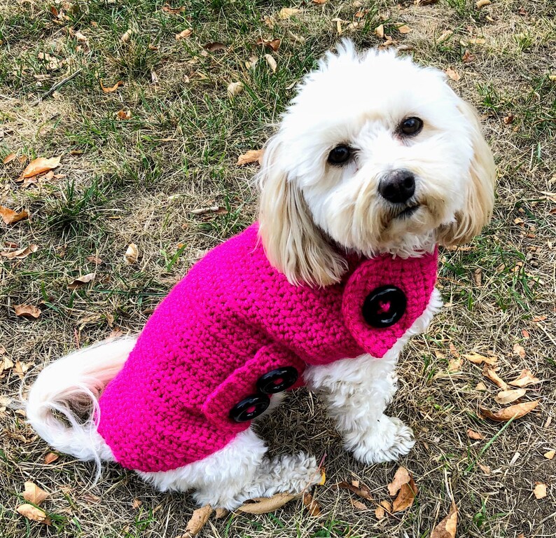 Mini dachshund sweater doxie clothes mini dachshund clothes Etsy