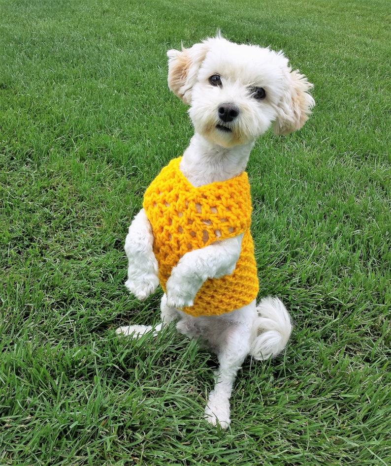 Yellow dog vest small dog sweater girl dog sweater Etsy