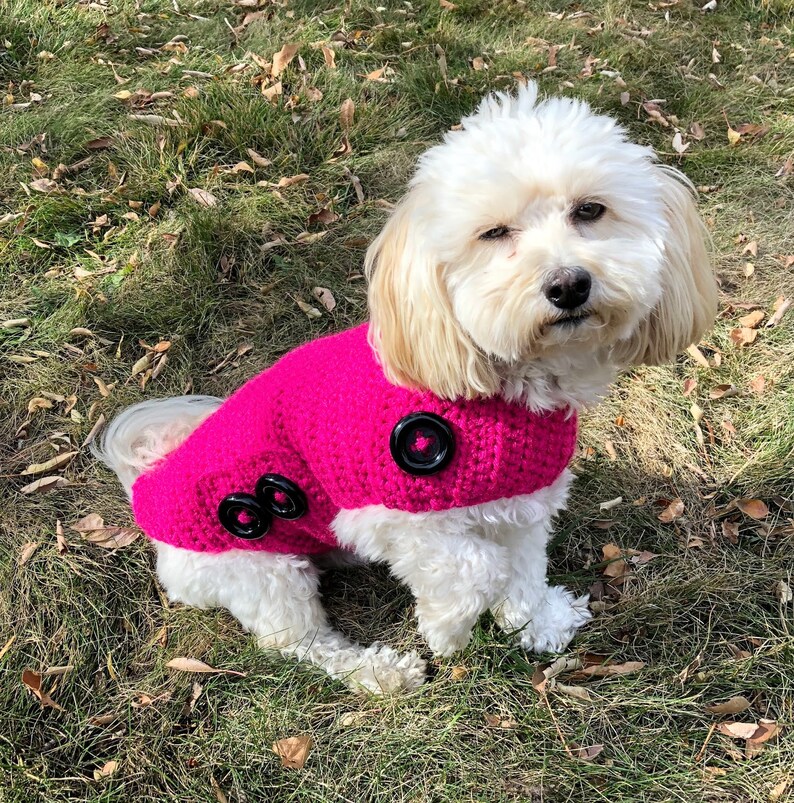 Pink dog sweater with buttons dog clothing for small dogs Etsy