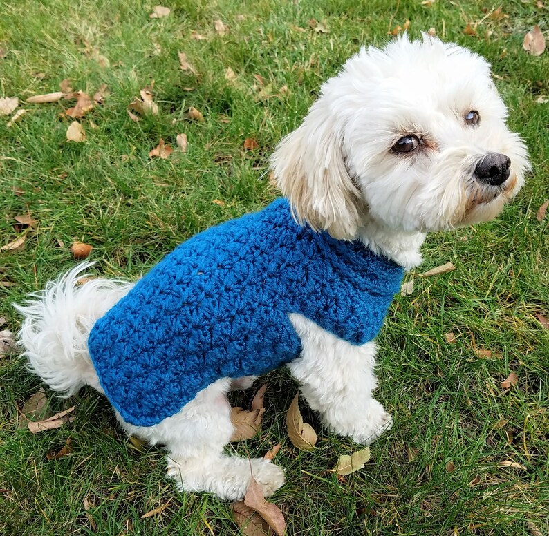 Blue dog vest small dog coat dachshund option available Etsy